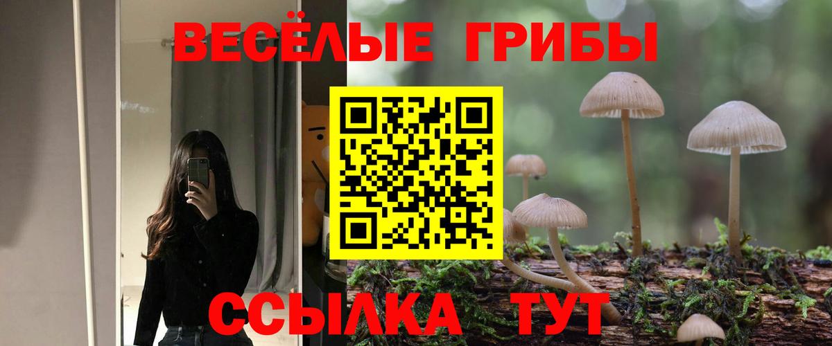 Псилоцибиновые грибы ЛСД  Псилоцибиновые грибы Psilocybine cubensis  Вход с VPN  Костомукша 
